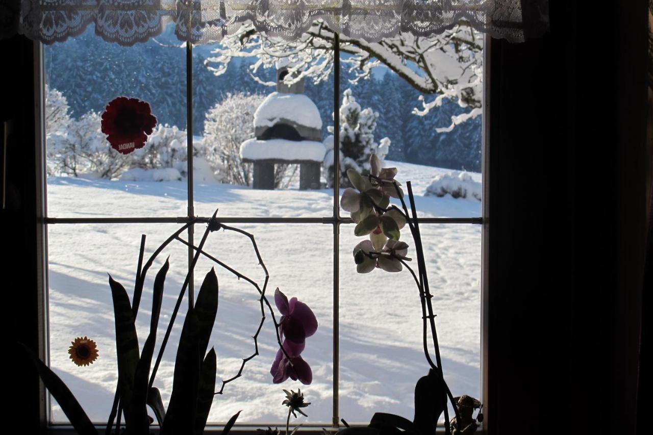 Appartements Wiesenheim Rasun di Sopra Dış mekan fotoğraf