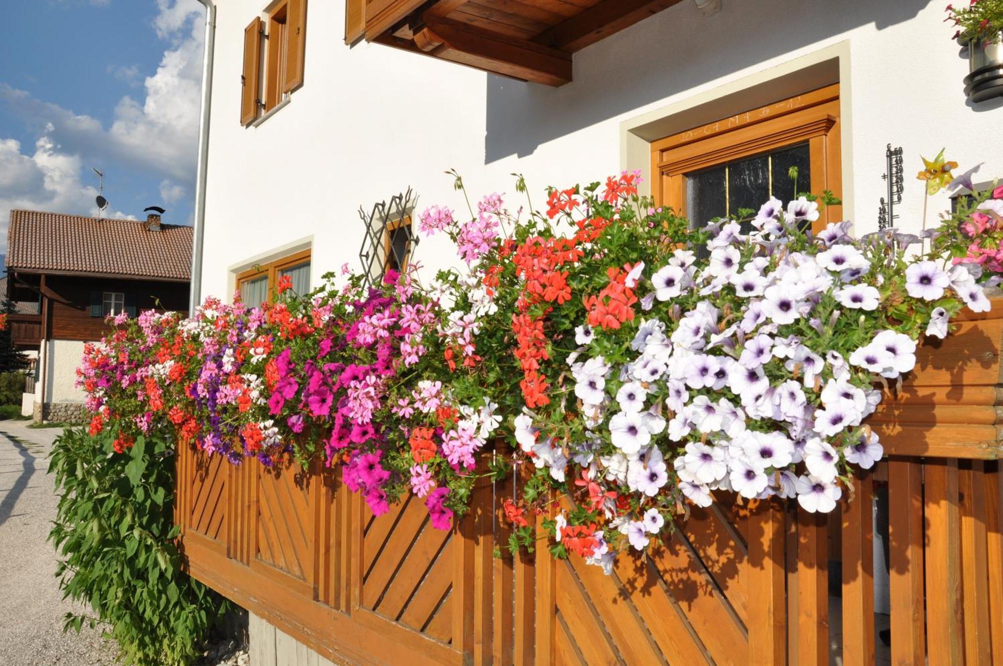 Appartements Wiesenheim Rasun di Sopra Dış mekan fotoğraf